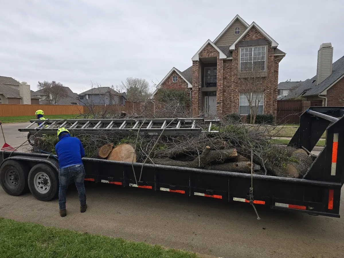 Expert Lot Clearing with proper safety equipment in Alledonia